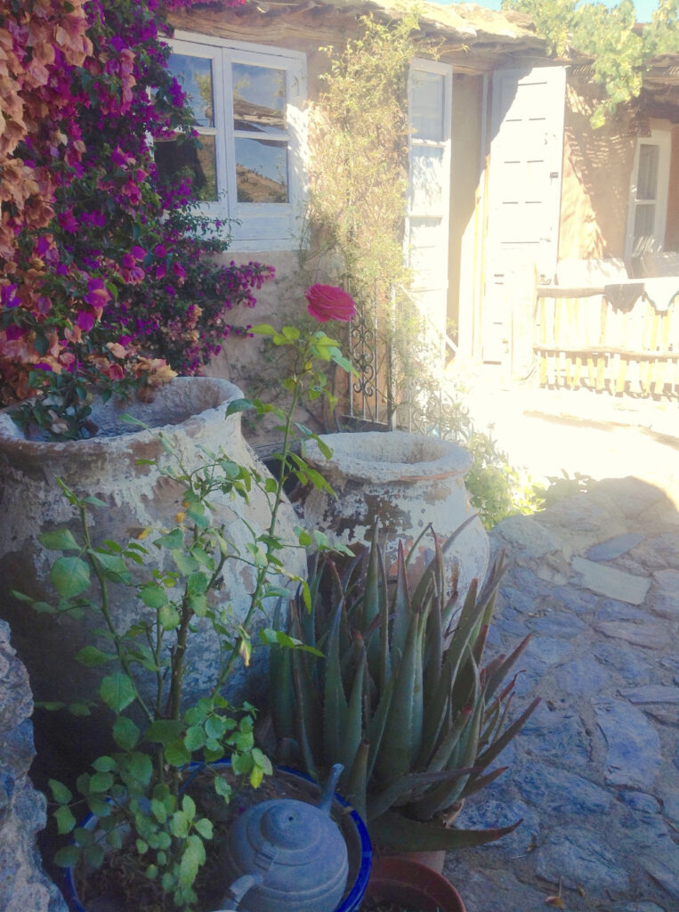 16CCD5C6-FE3B-4793-9885-B989EFE60EFC-1