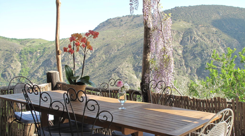 6E182FEE-1E25-447C-A636-417B12584CB3-scaled-2